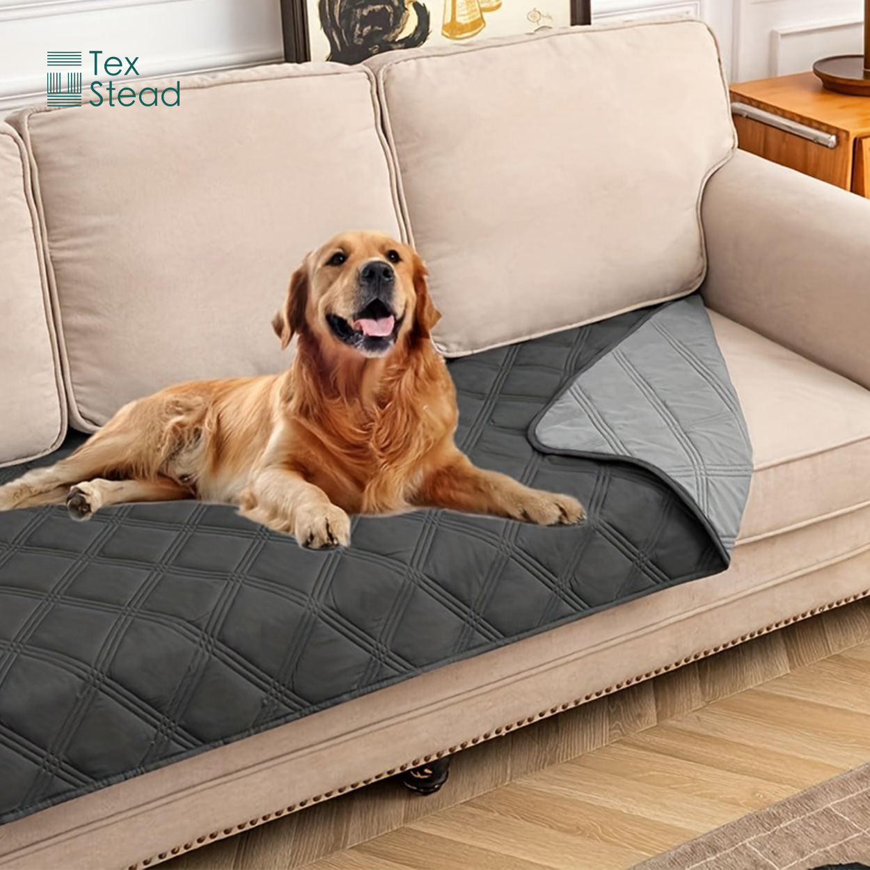 Reversibele waterdichte honden - Mattress Protector Waterproof recensie en prijs